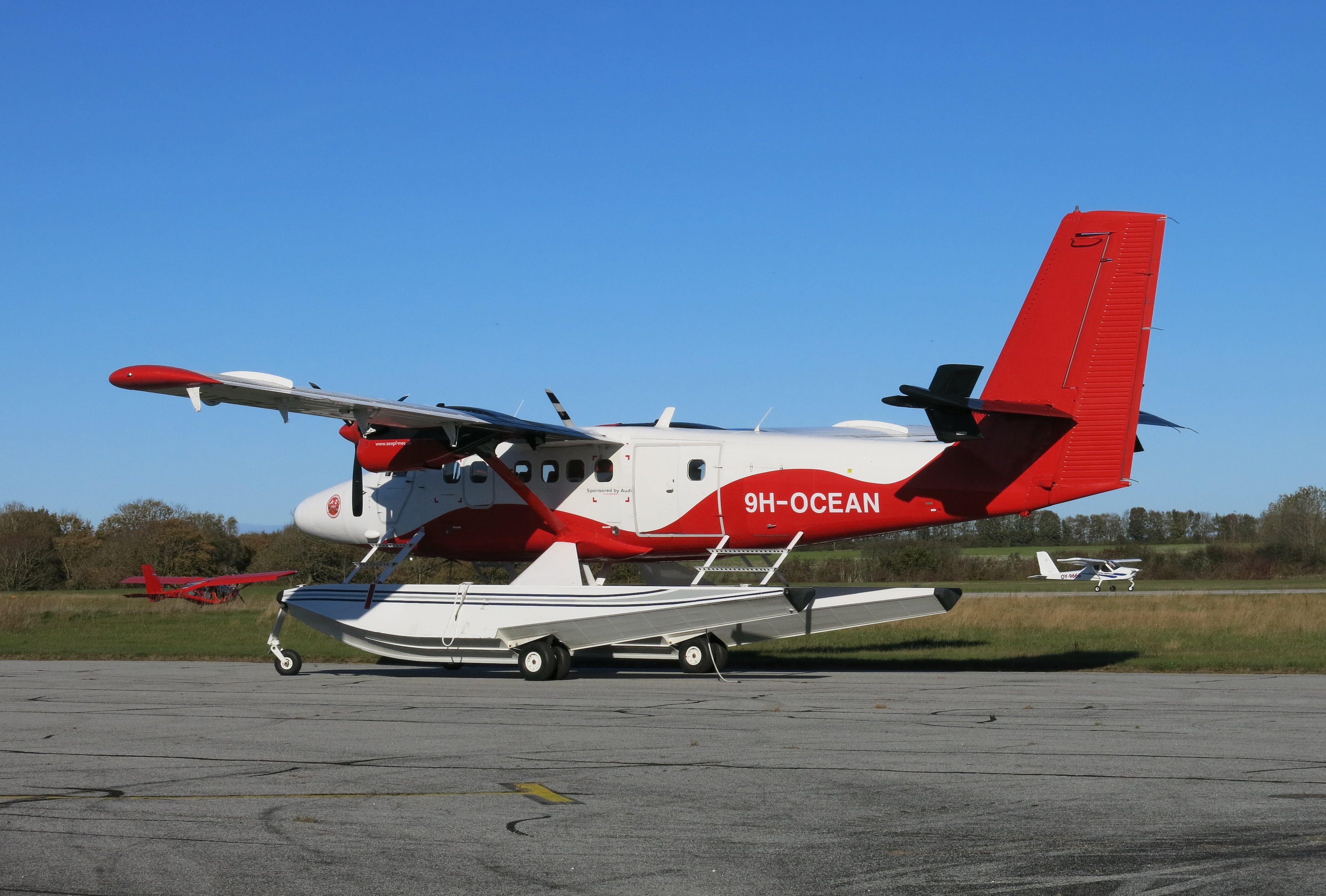 vandfly